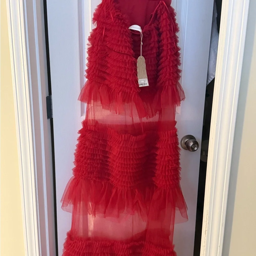 Gorgeous Meshki Minka Mesh Ruffle Maxi Dress- Size XXS - Picture 4 of 6